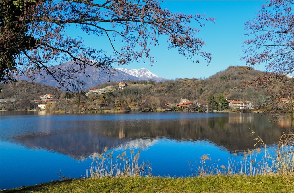 Canavese