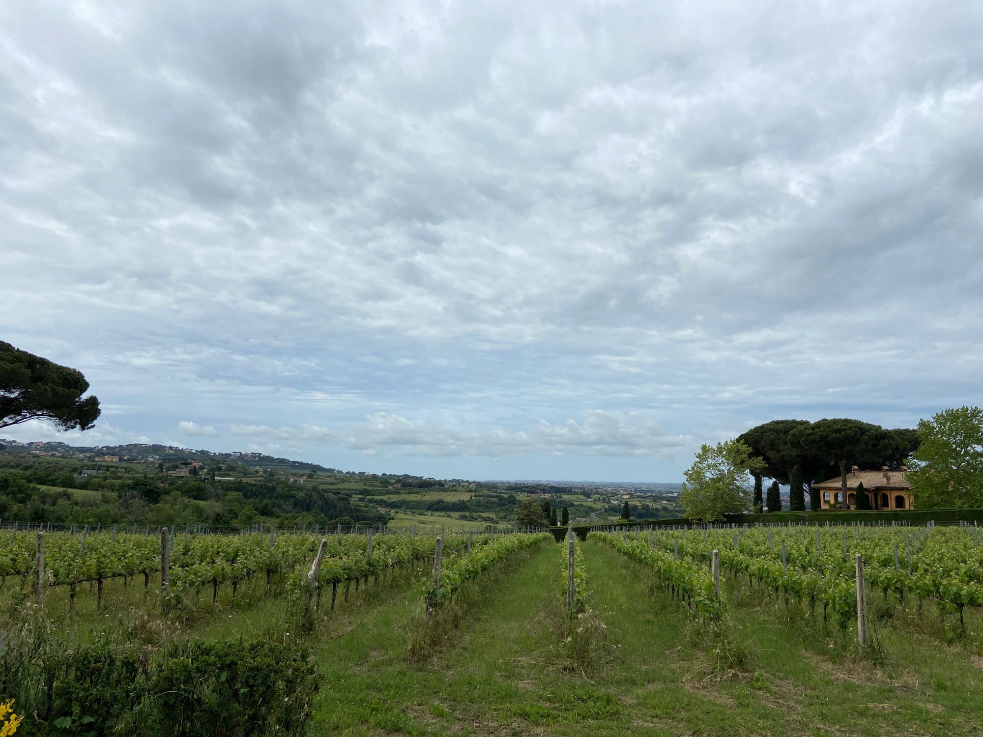 Hero Valle Marciana and its wines 