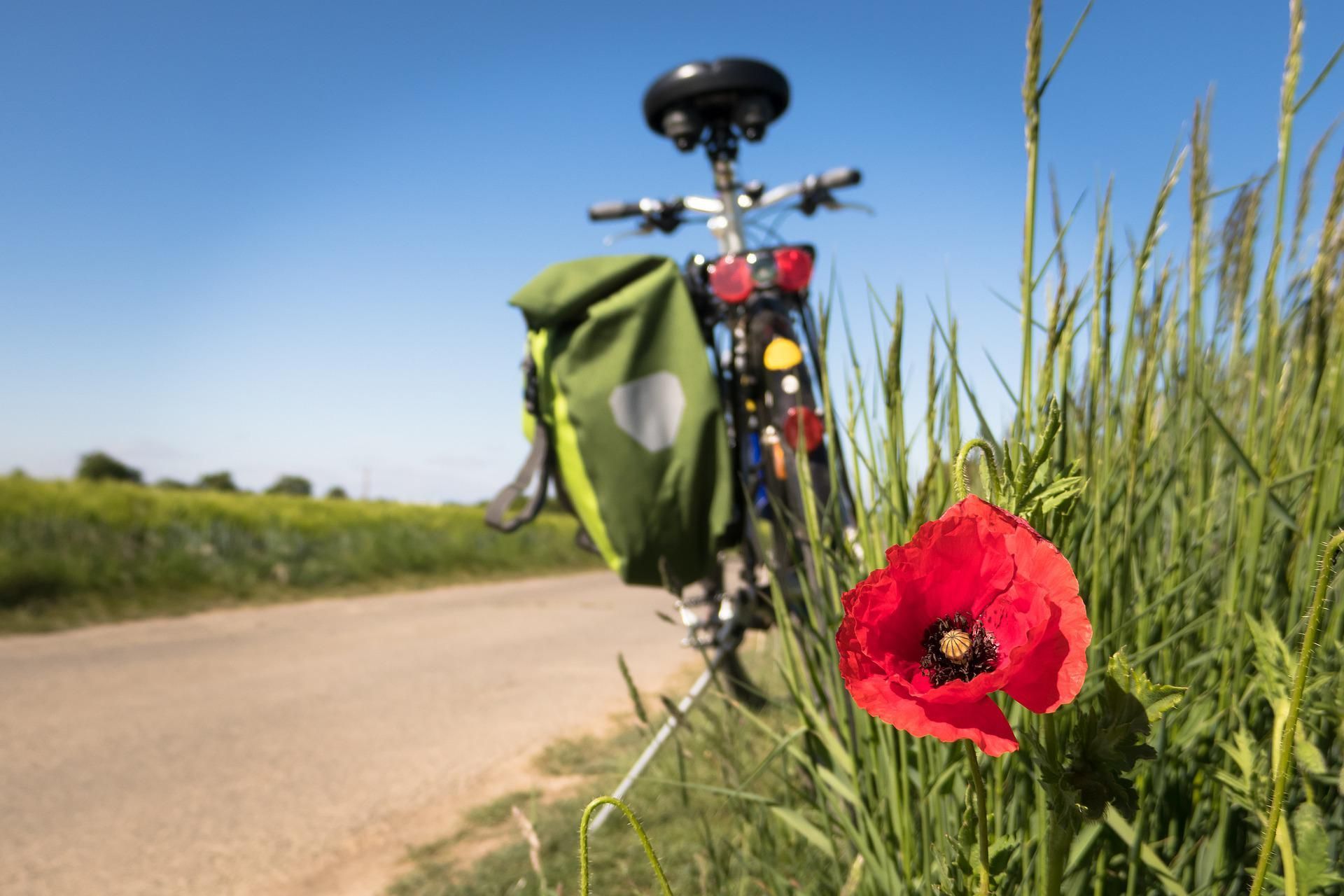 Hero Sinapsi: collegamento tra i punti di noleggio ebike in Irpinia