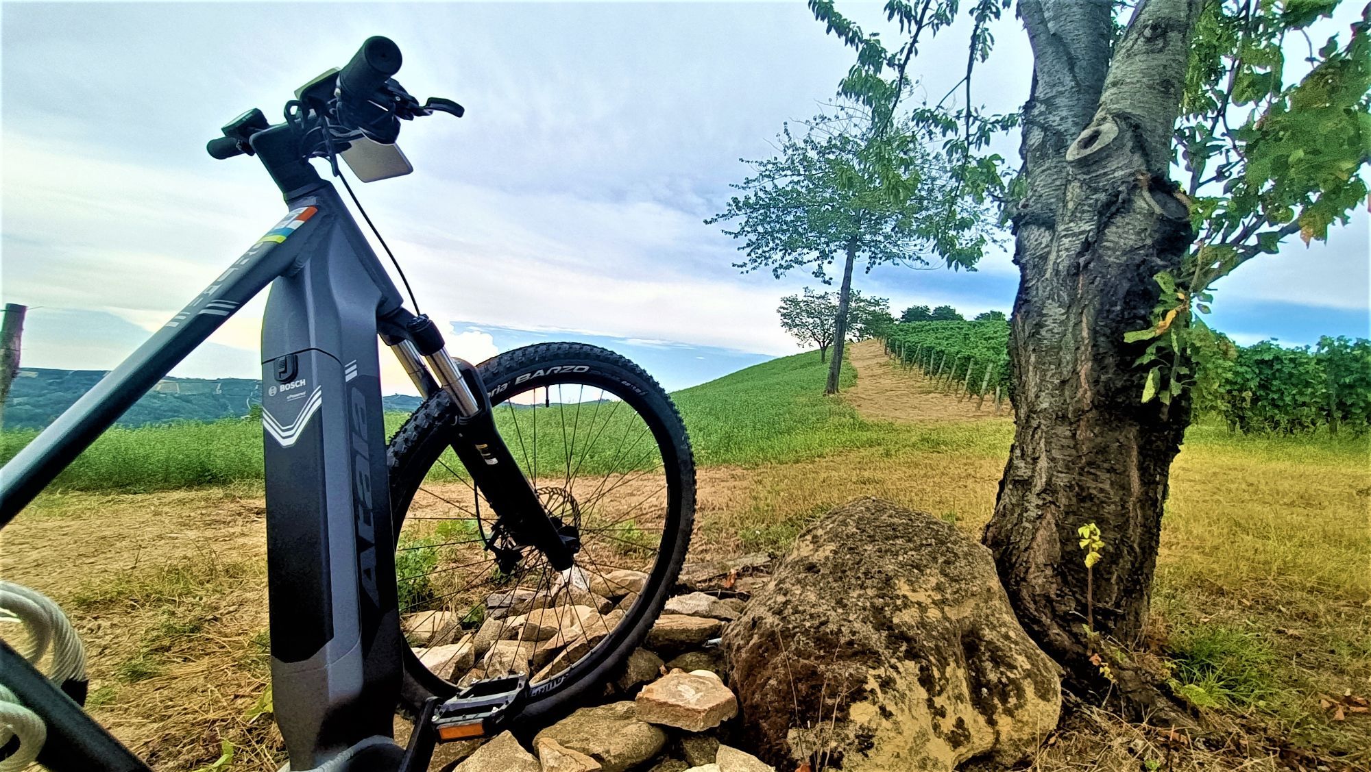 Hero In MTB between vineyards and woods of the Langhe del Barbaresco