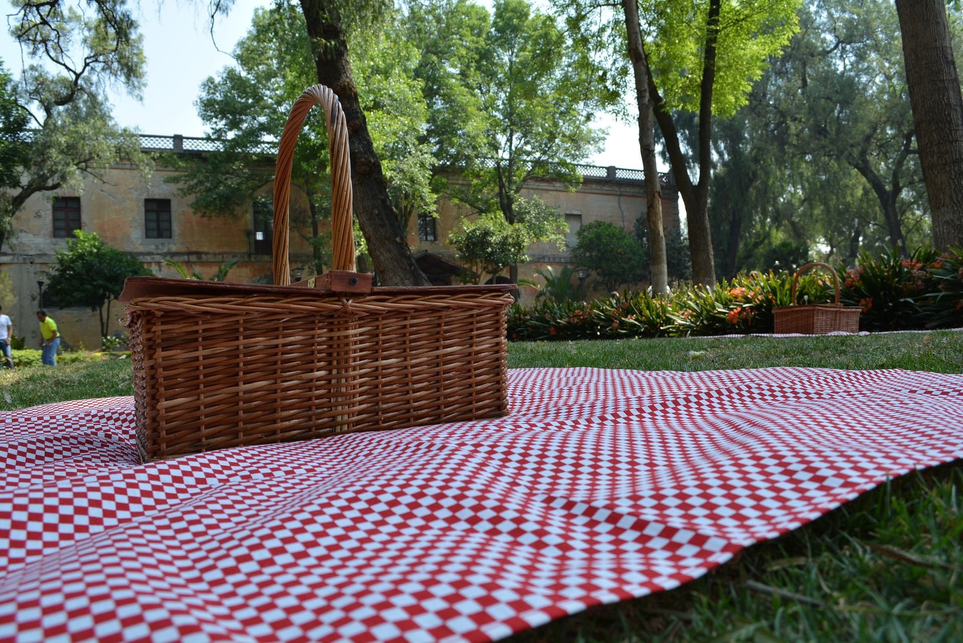 Hero E-bike divertente e pic nic tra le vigne