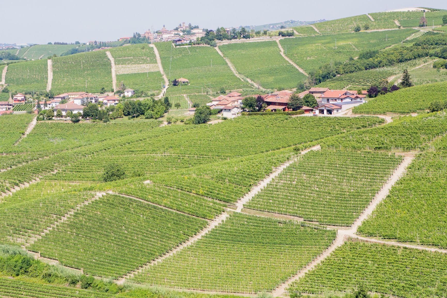 Hero Langa del Barolo and Alta Langa