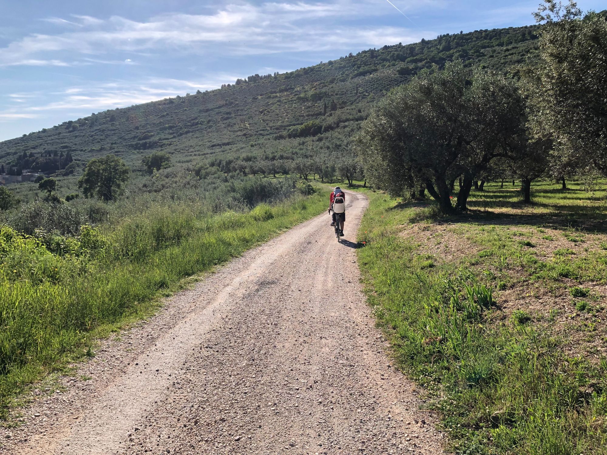 Hero Southeast of Mount Subasio and the woods around Spello