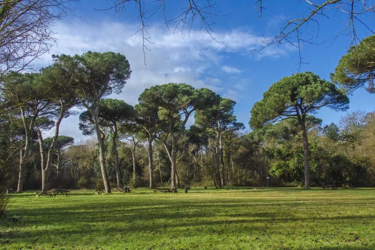 Hero Pineta San Vitale