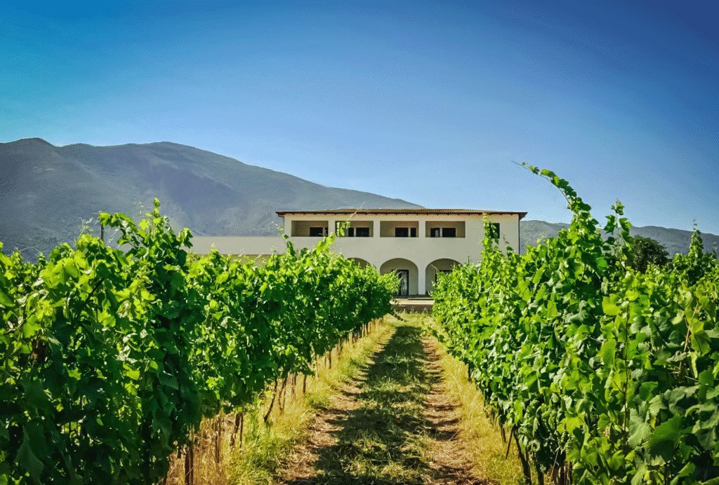 Hero Cantina Tenuta Starza