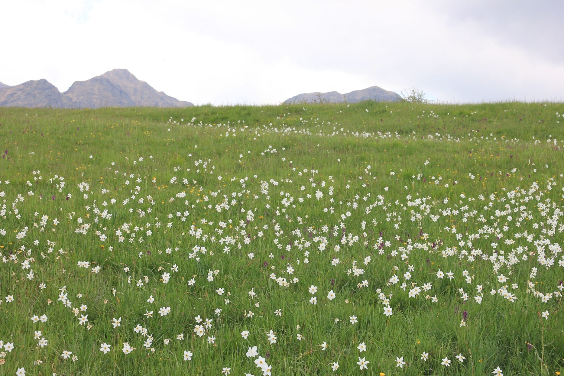 Hero Prati di Logarghena (Filattiera)
