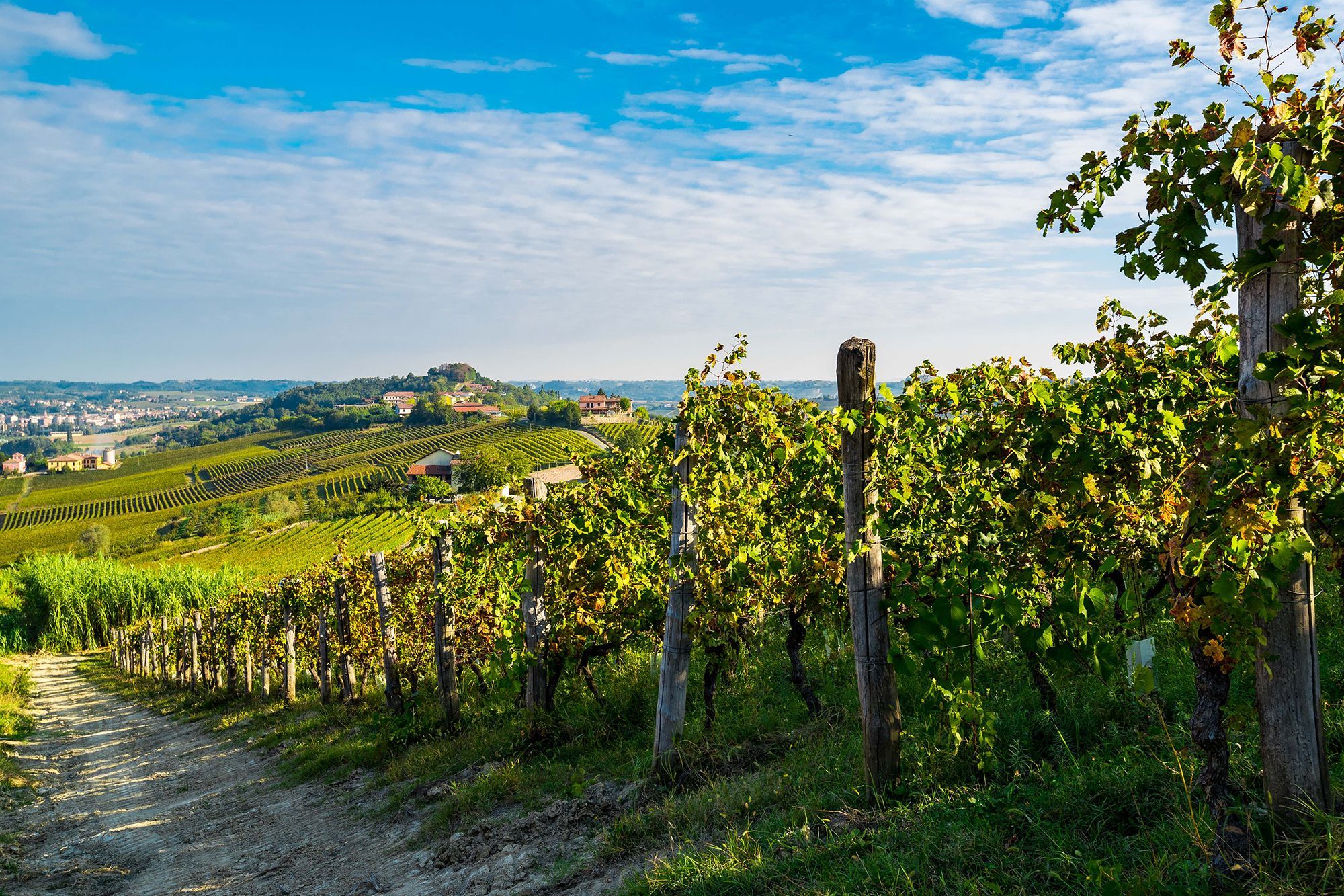 Hero Serra Domenico Country House