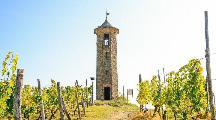 Hero Torre dei Contini
