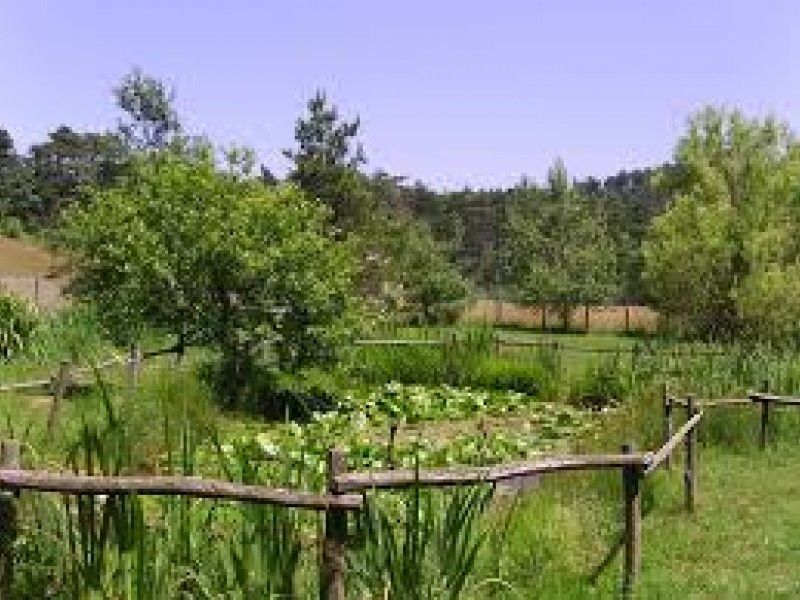Hero Orto Botanico Prato Rondanino