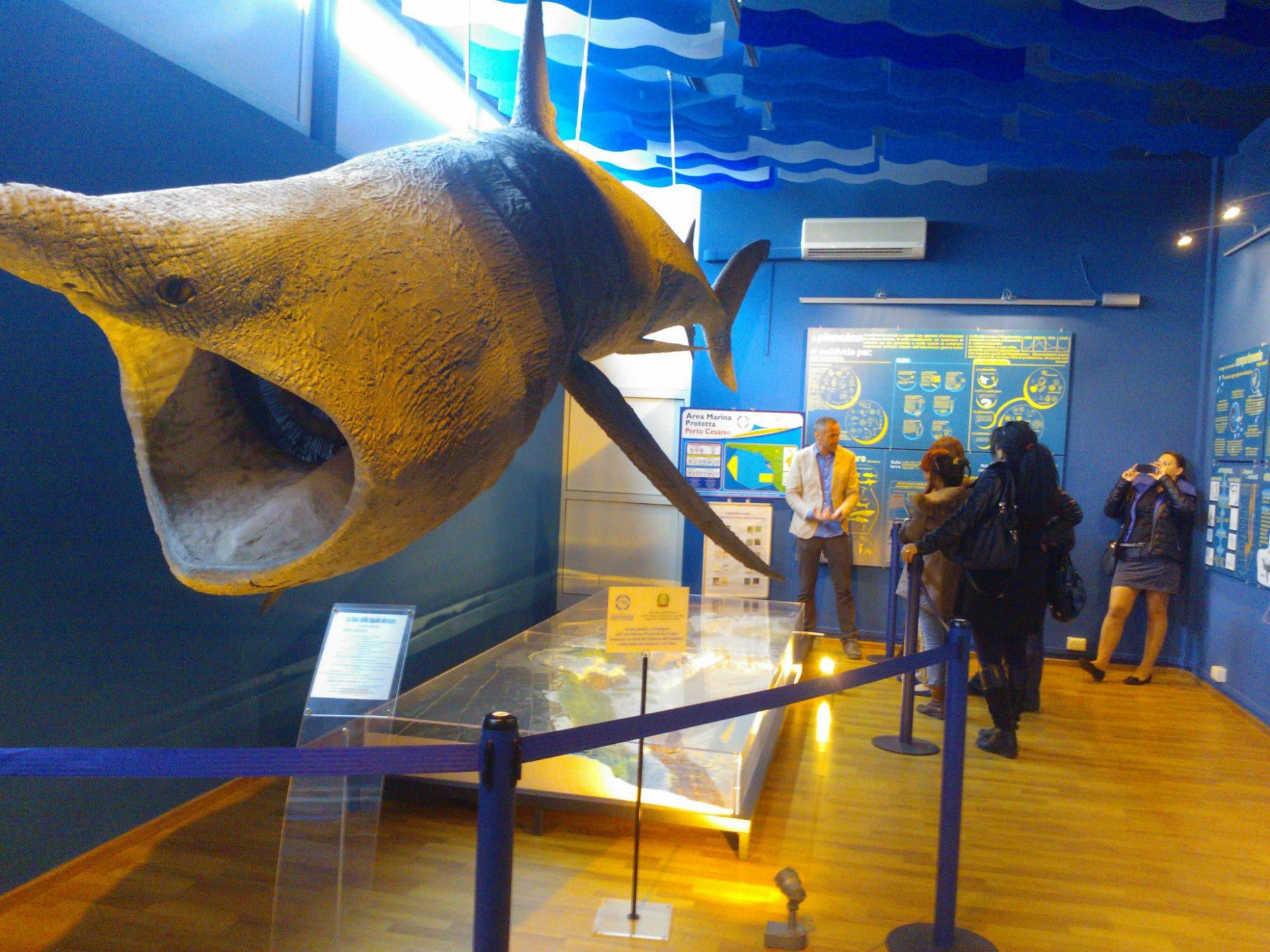 Hero Museo di Biologia Marina "Pietro Parenzan" a Porto Cesareo