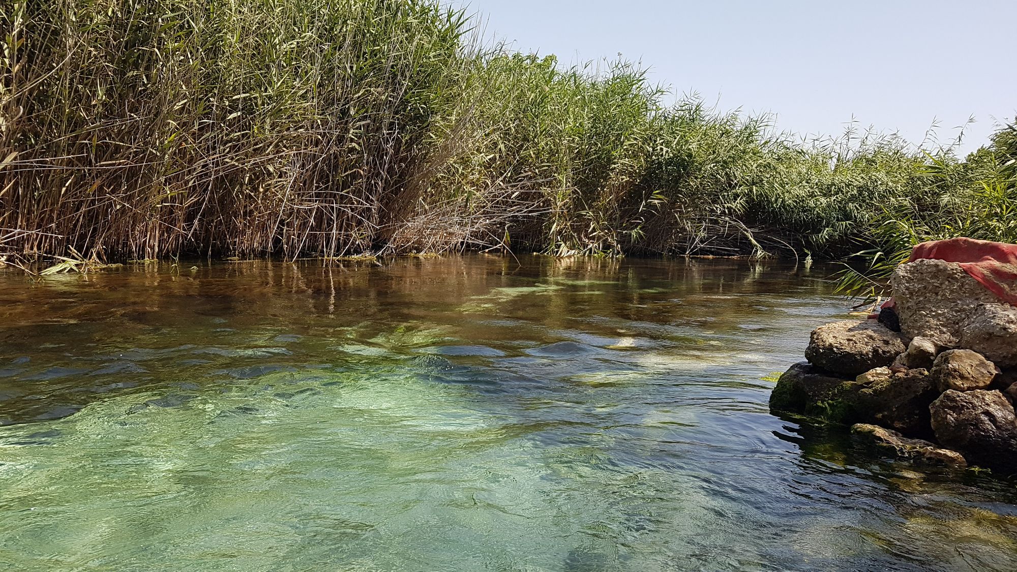 Hero Riserva Naturale della foce del fiume Chidro (Manduria)