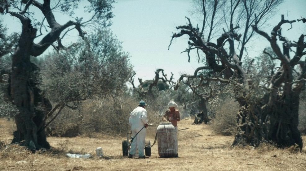 Hero Il Campo dei Giganti (Nardò)
