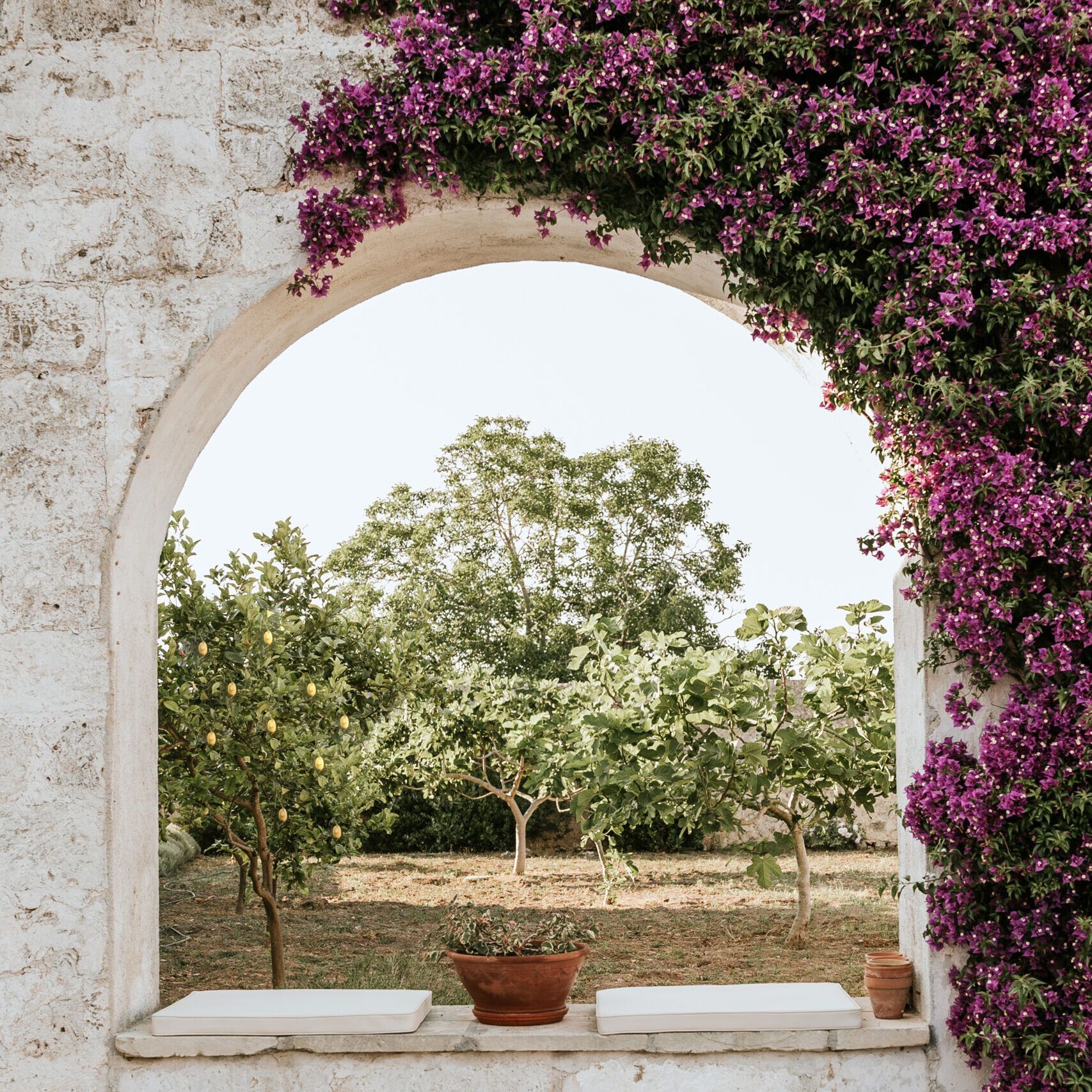 Hero Il giardino del Priore - dimora rurale in Salento