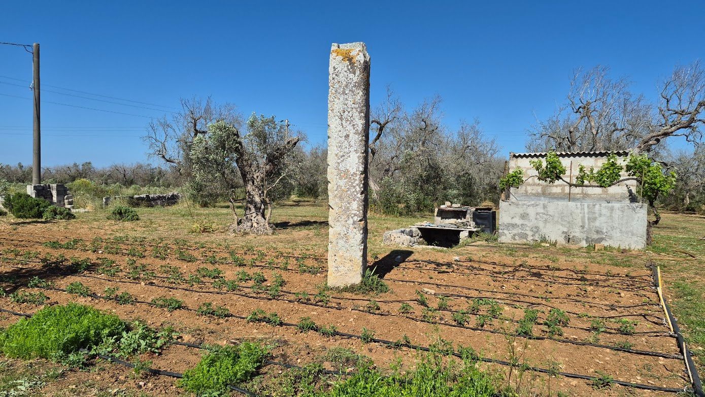 Hero Menhir Palanzano
