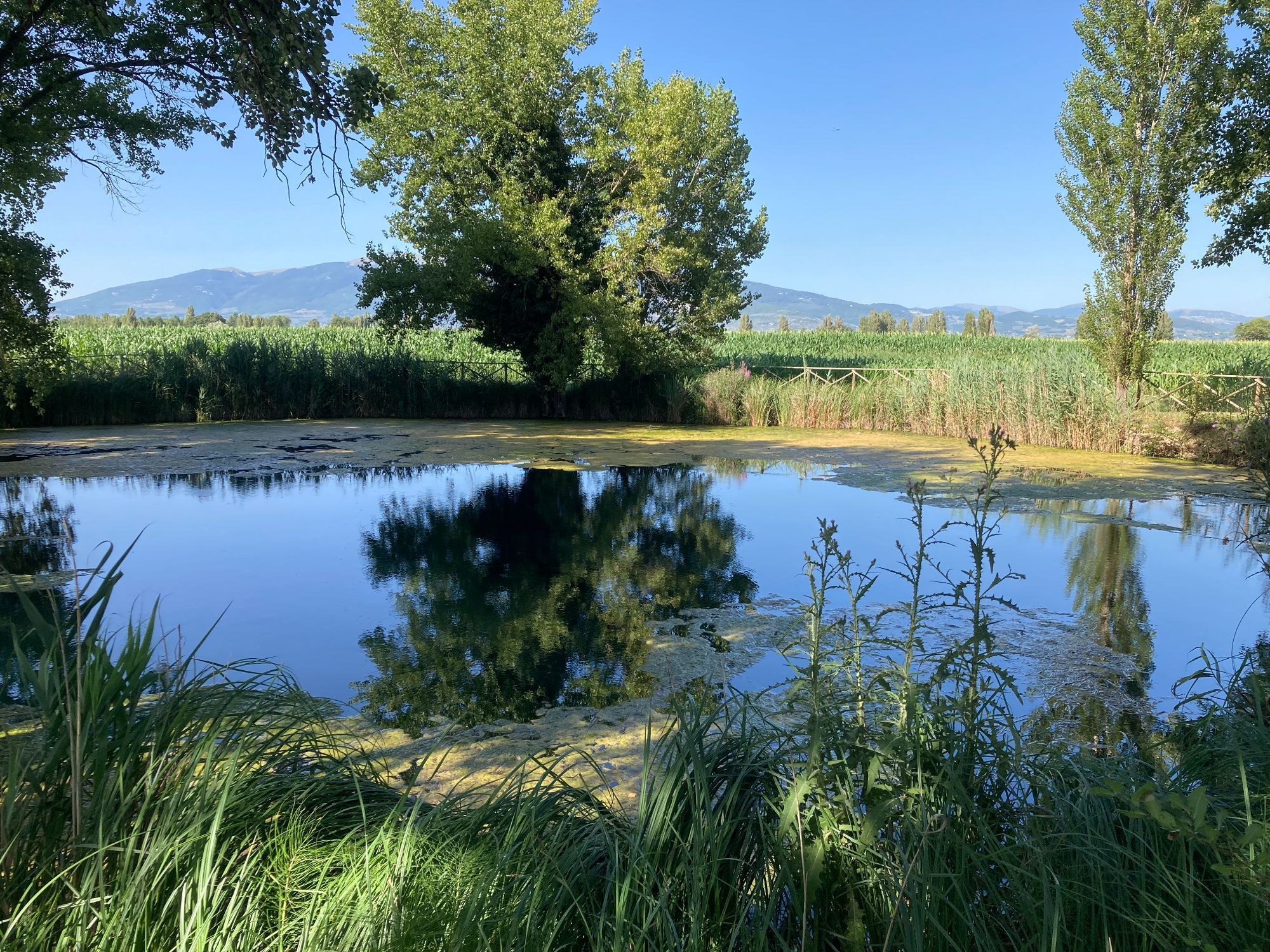 Hero Il lago Aiso e la sue leggenda