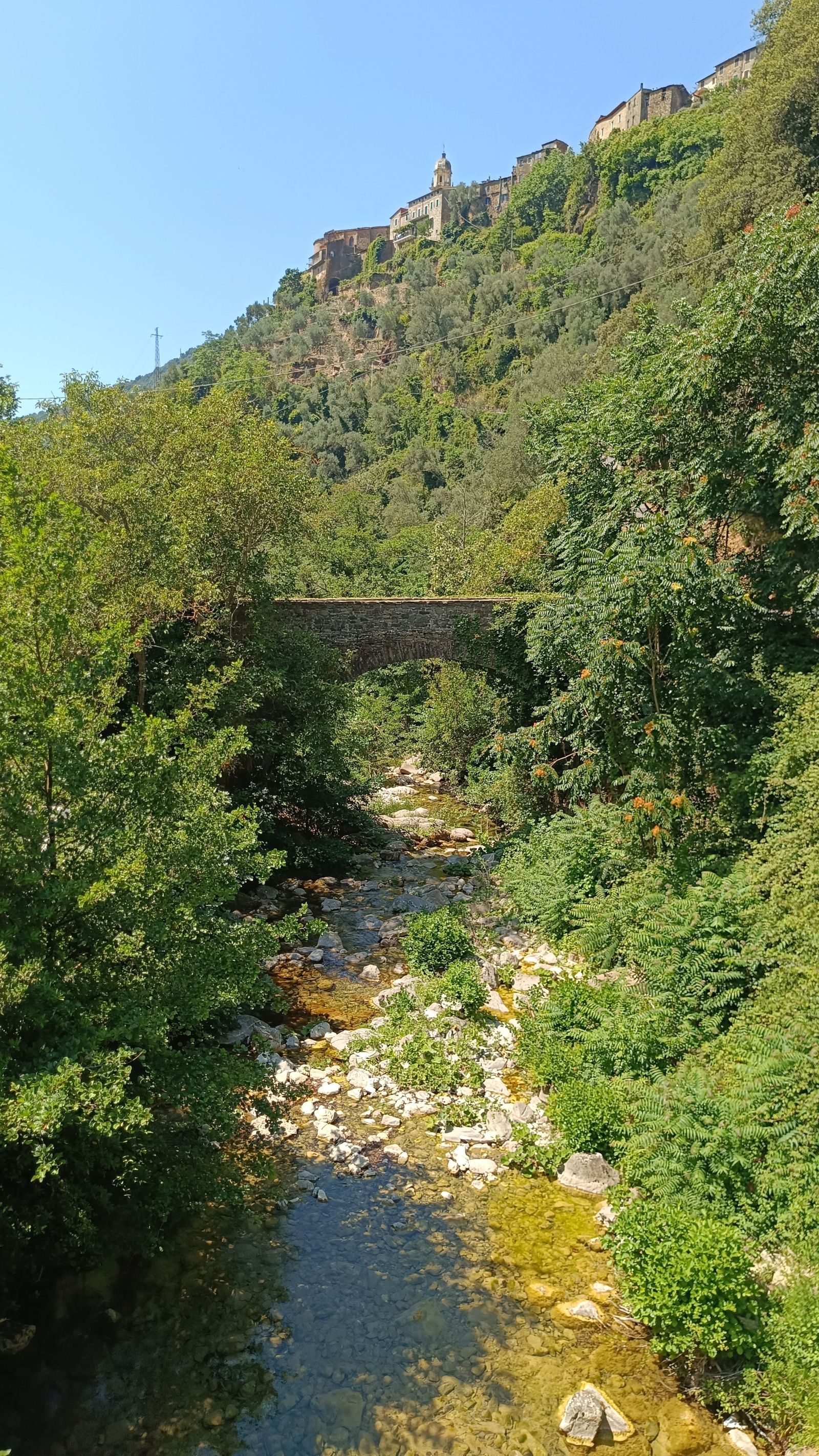 Hero Torrente Carpasina