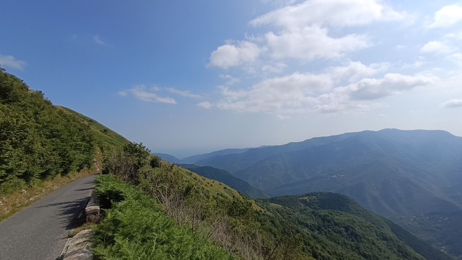 Hero Passo Teglia