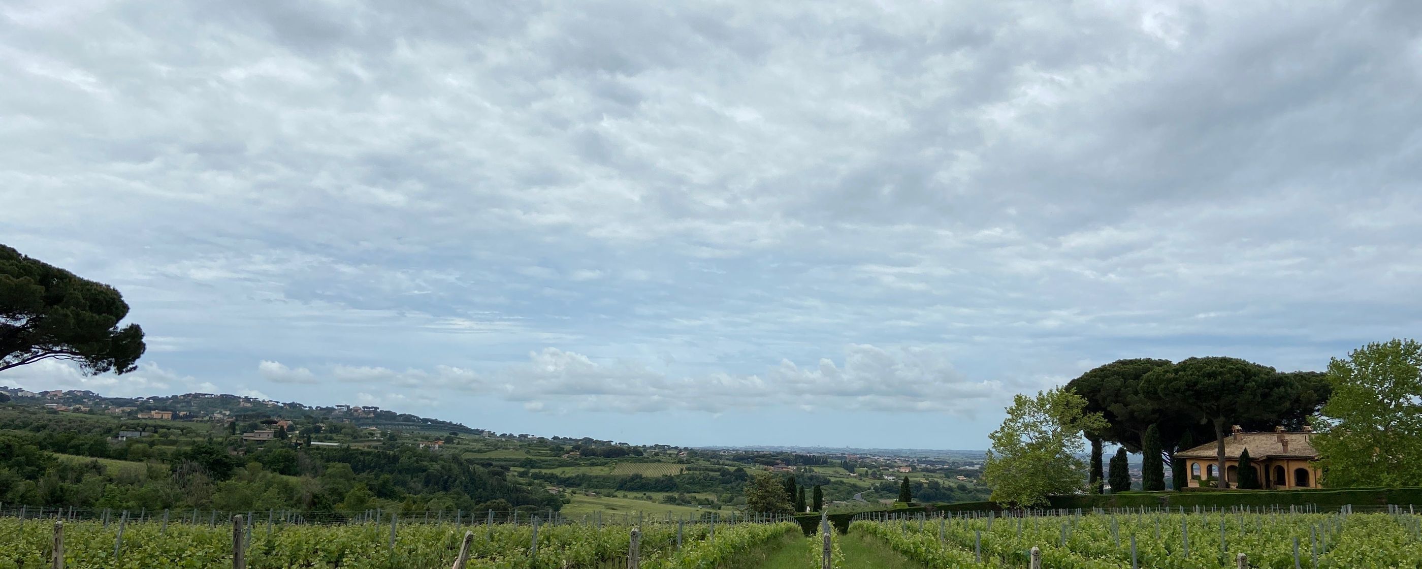 Hero Valle Marciana and its wines 