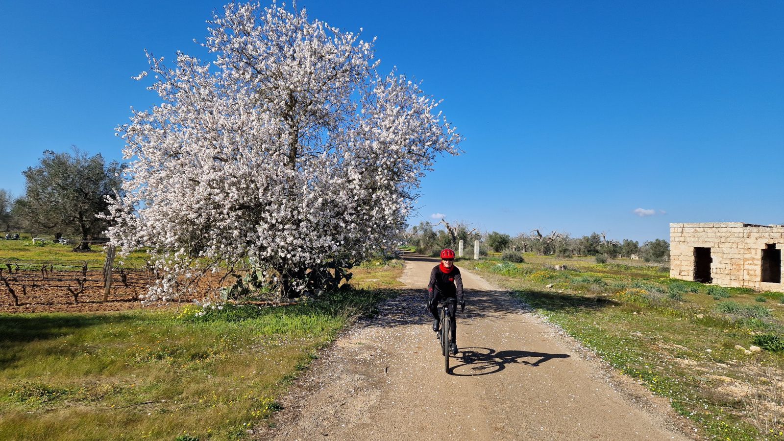 Hero Ciclonica, Cyclovia of the Ionic Salento