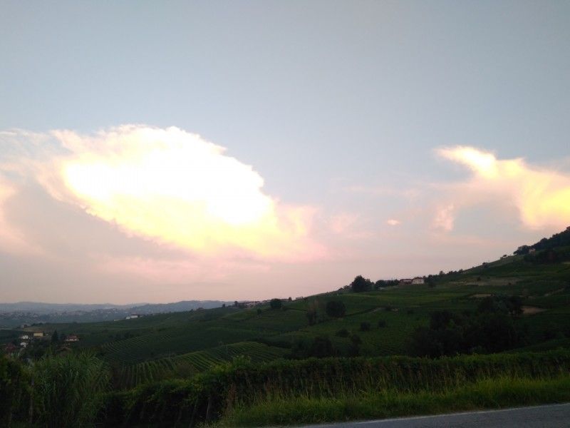 Hero The hills of the Dogliani wine