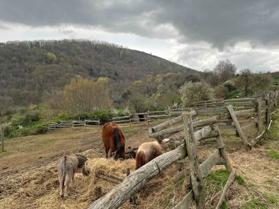 MONTE SALOMONE