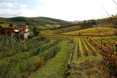 Lucolena e Greve in Chianti