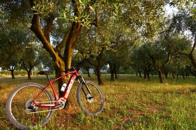 Sentieri storici in ebike