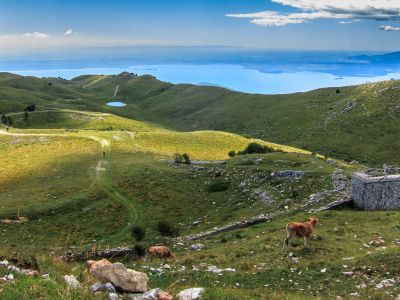 Sulla Cresta del Mondo - Il Forte di Naole in E-mtb