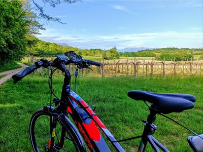 Start at the Weekend and visit Valtenesi through a tour in the nature with horses and on a fresh route