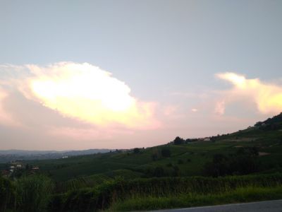Le colline del Dogliani
