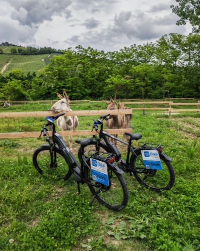 Barbaresco e le Rocche dei Sette Fratelli in e-bike