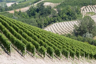 Giorno 6: Neviglie, Trezzo Tinella, Pavaglione, Coazzolo
