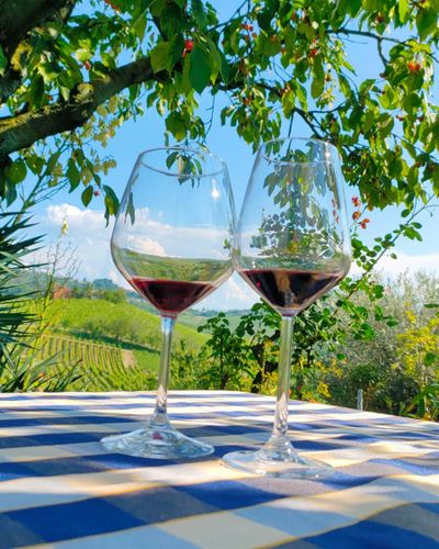 Tour di una settimana in Langa, Barolo, Dogliani e Barbaresco