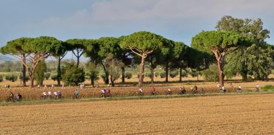 Tour ebike Parco della Maremma Alberese