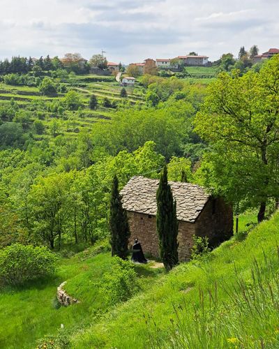 In giro per i monti da Spignomonferrato