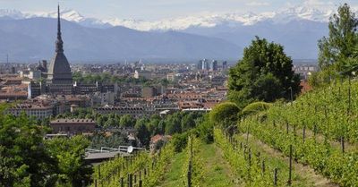 In e-bike Torino, residenze sabaude e meli in fiore