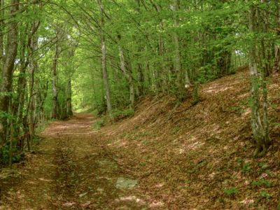 Nel Parco dell'Alta Val Borbera