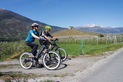 Pedalando tra meleti e vigneti