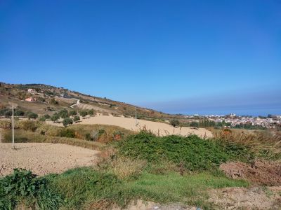 Pineto-Montepagano