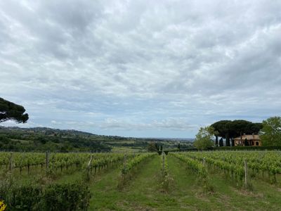 Valle Marciana and its wines 