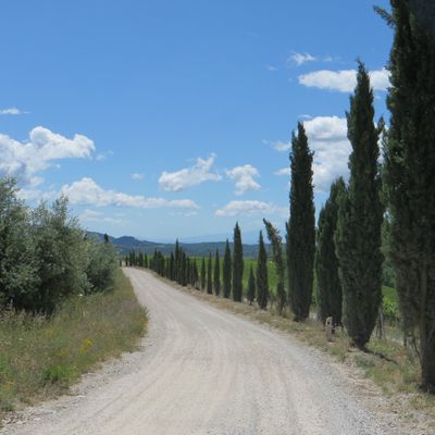Castellina in Chianti