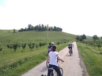 Half-day E-bike Tour of Barolo Langhe from Alba