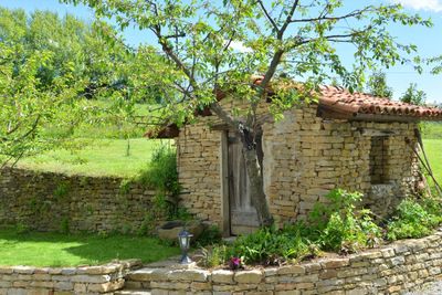 Alta Langa, not only vineyards