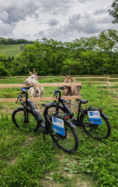 Barbaresco e le Rocche dei Sette Fratelli in e-bike