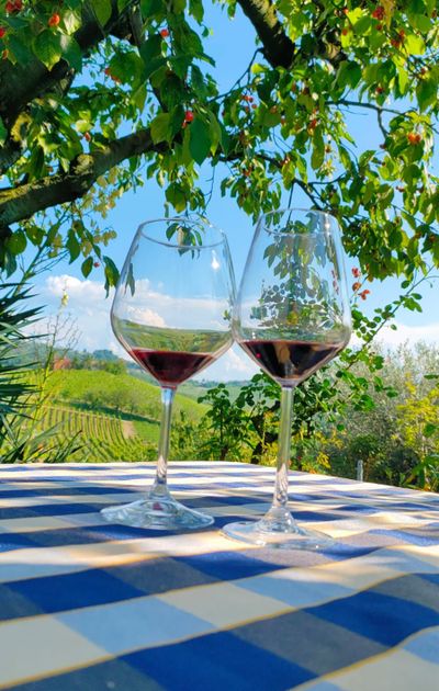 Tour di una settimana in Langa, Barolo, Dogliani e Barbaresco