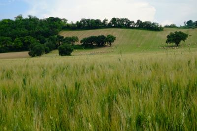 Parco Archeologico, Castello ed Abbazia, fra le colline