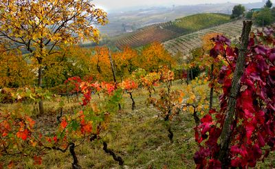 Monferrato acquese in ebike