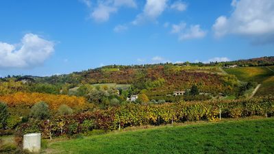 Tra le dolci colline del Monferrato