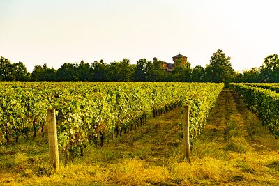 Dalla Ciclovia del Po alle colline del Gavi