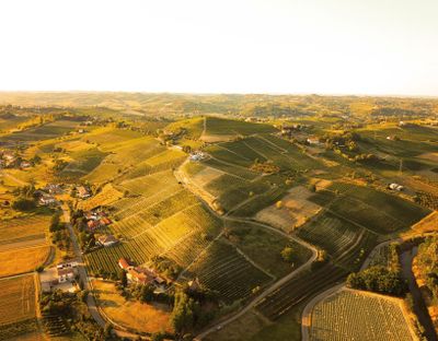 Nizza Monferrato e le Terre del Barbera in E-bike